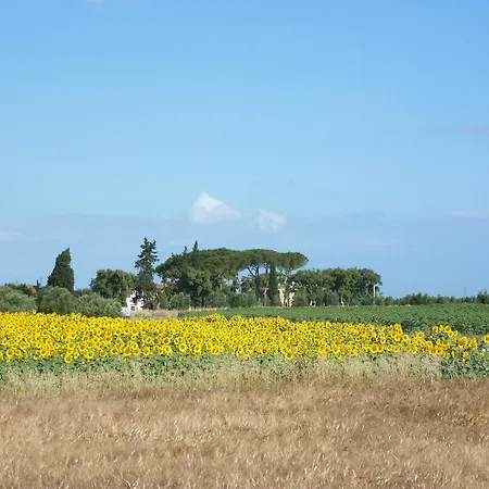 A Vignarca - Località Perelli Casa di campagna