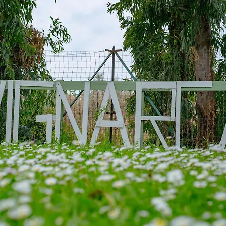 Casa Vacanze Vignarca - Localita Perelli Country house *