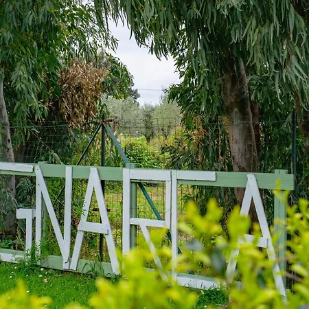 A Vignarca - Località Perelli Riotorto