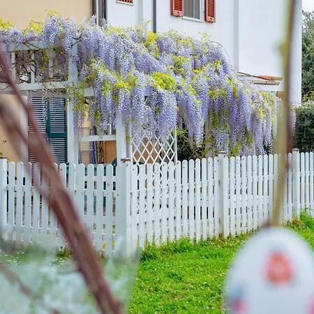 Vignarca - Localita Perelli Casa rural Riotorto