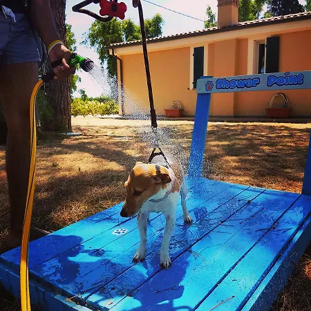 Casa Vacanze Vignarca - Localita Perelli Riotorto